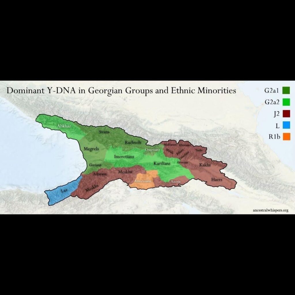 Dominant Y-DNA in Georgian Ethnic Groups