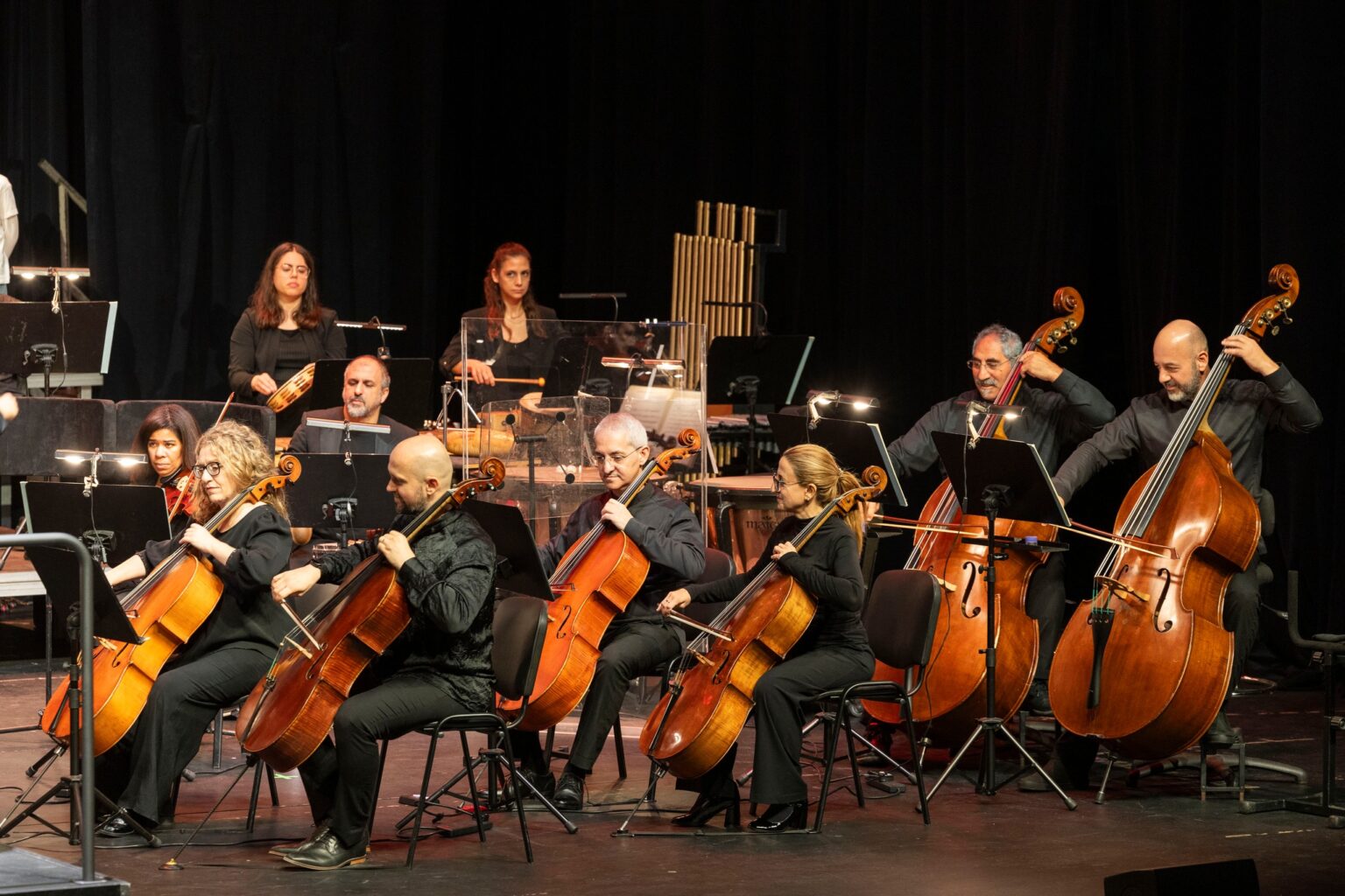 cover These are the Cyprus Symphony Orchestra’s first concerts in 2026