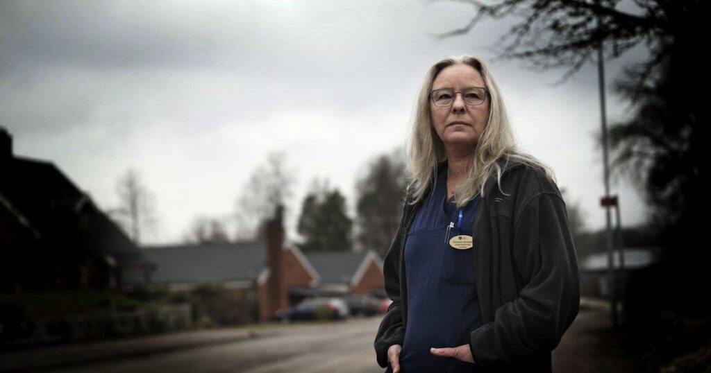 Municipalities pay millions to consultants - to make shock savings on care for the elderly