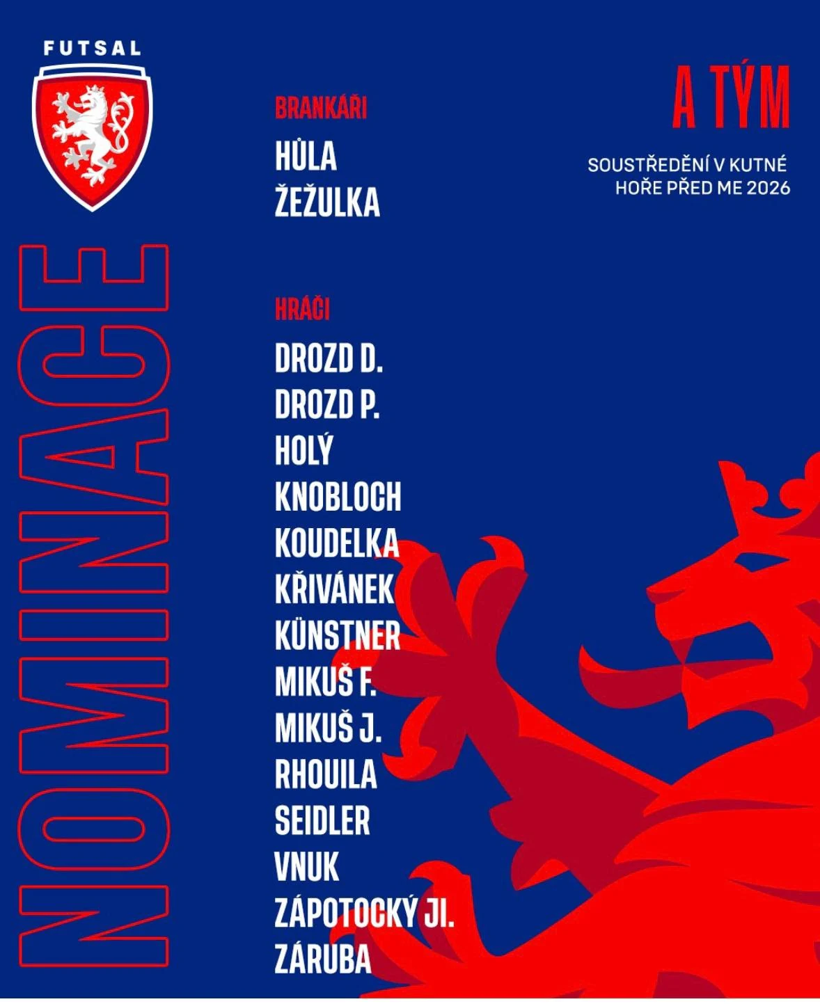 Czechia futsal