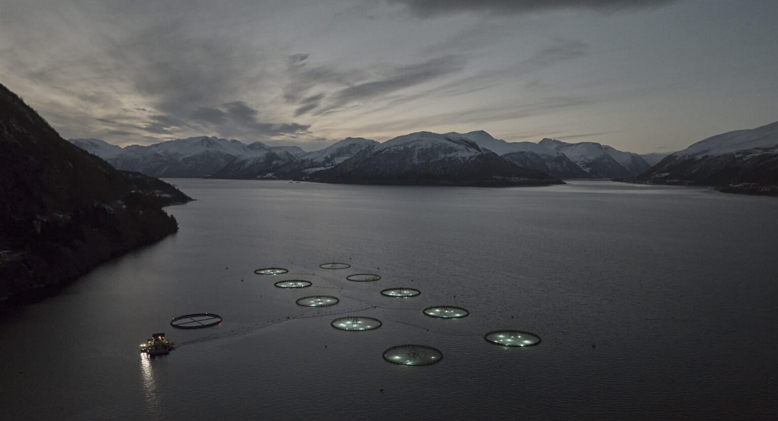 Norway's Ode expands significantly with purchase of three new sites from fellow cod farmer