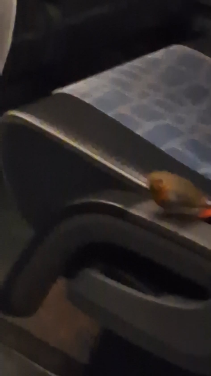 Thank god no inspectors were around or this fellow would have got an on-the-spot fine