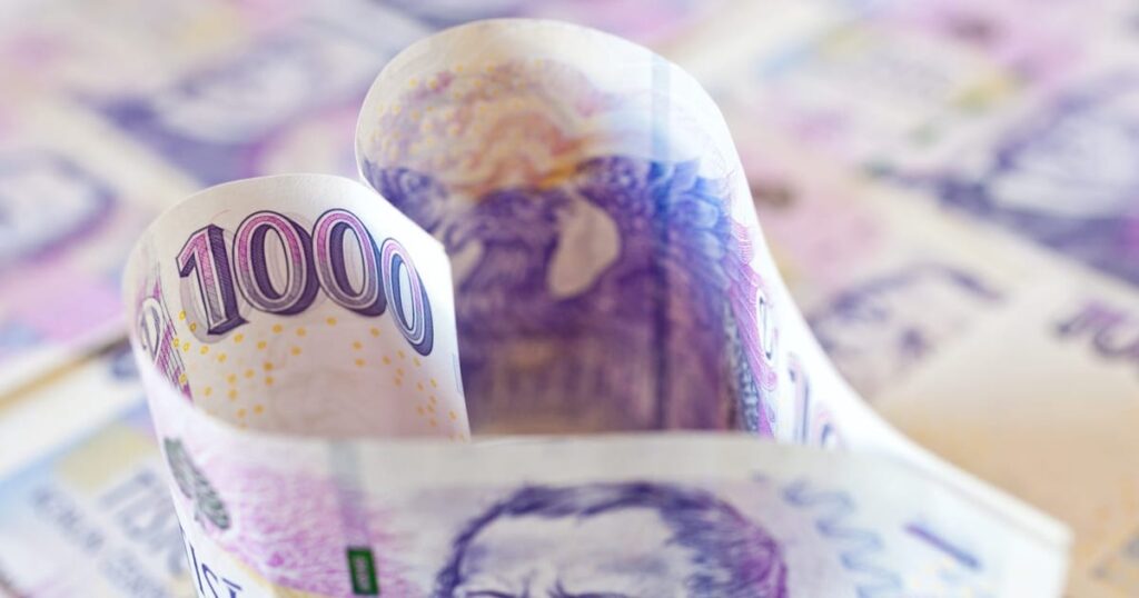 Charity 2025: Czechs donating more money to wider range of causes