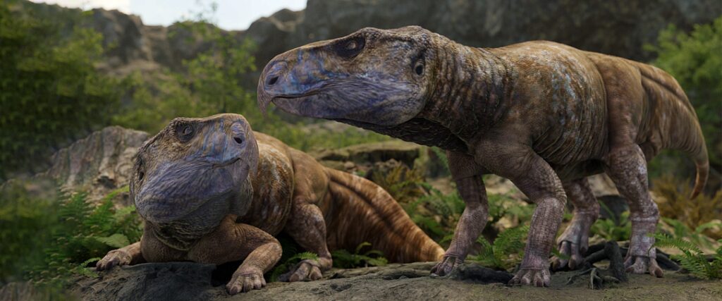 Presence of horned dinosaurs in Europe confirmed by study that included University of Bucharest