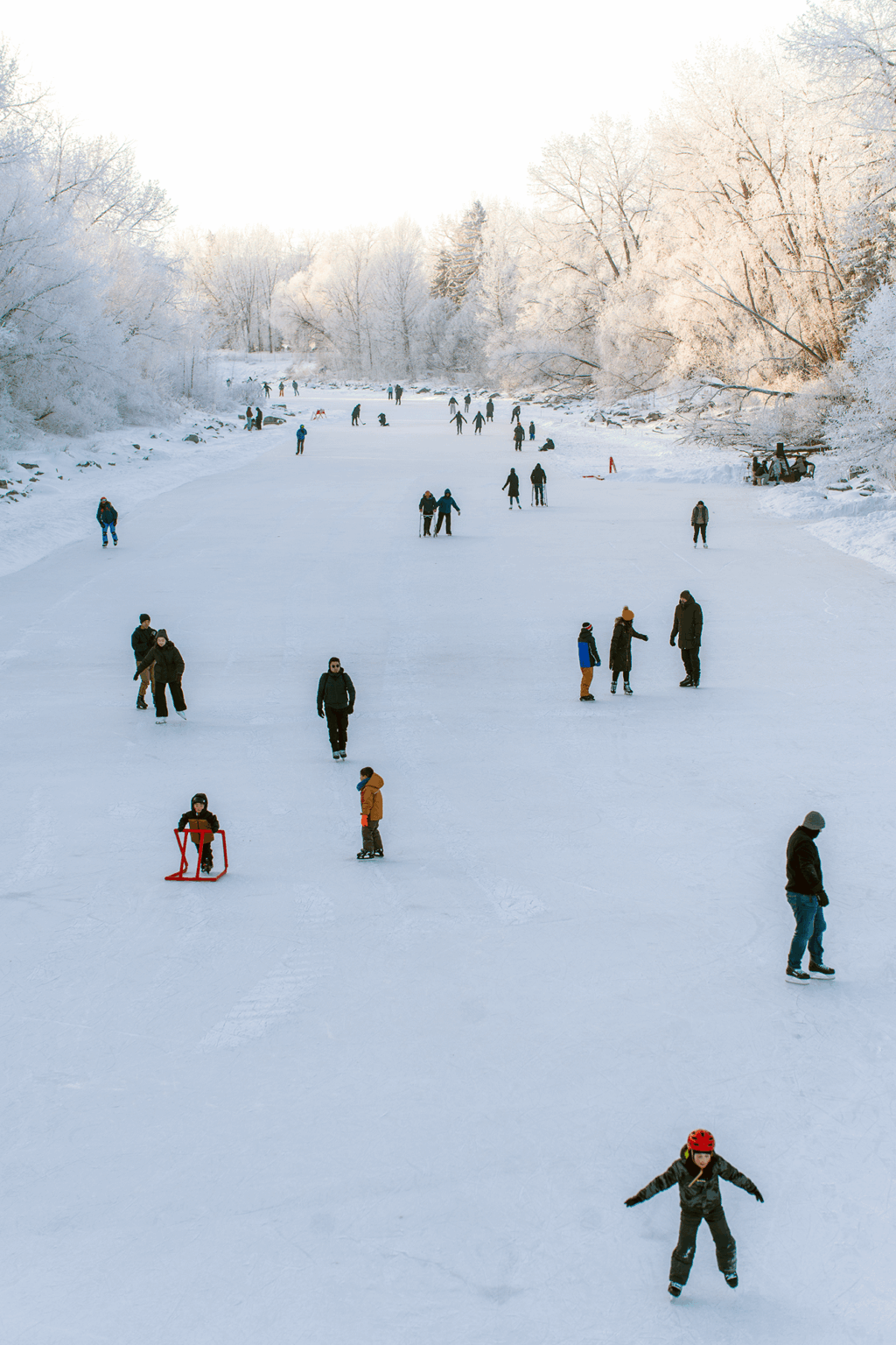 Outdoor ice skating in Calgary.