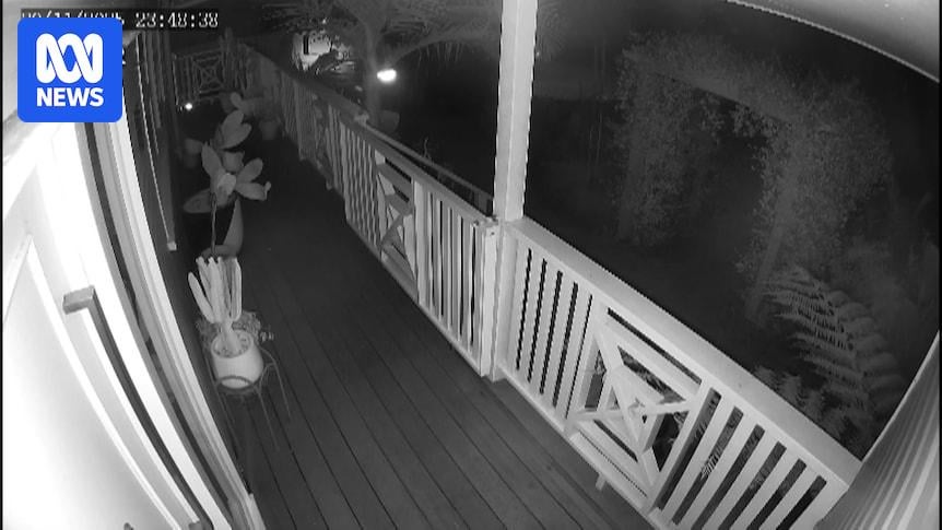 Seven men have been charged over a car theft syndicate which allegedly targeted four-wheel drives in Brisbane and shipped them overseas