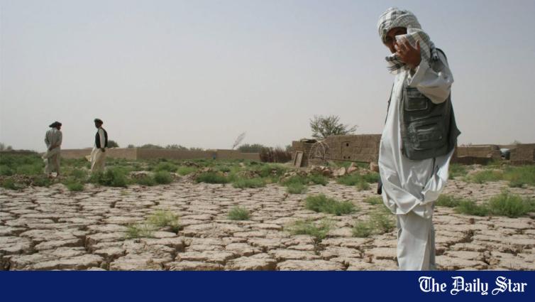 Urgent action vital to stop nature’s destruction and climate change