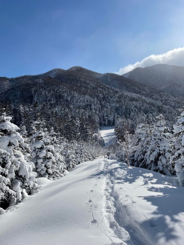 Typical Snowshoeing Hike in Hokkaido.