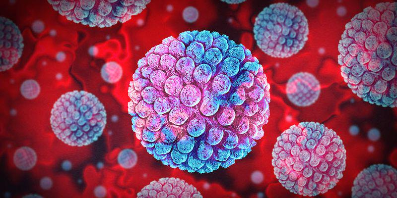 The immune system’s reaction to the common Epstein-Barr Virus (EBV) can damage the brain and contribute to multiple sclerosis (MS). A recent study provides new insight into the long-suspected link between EBV and MS - Long-term memory T-cells pick on the wrong protein (ANO2) instead of EBV-antigen.