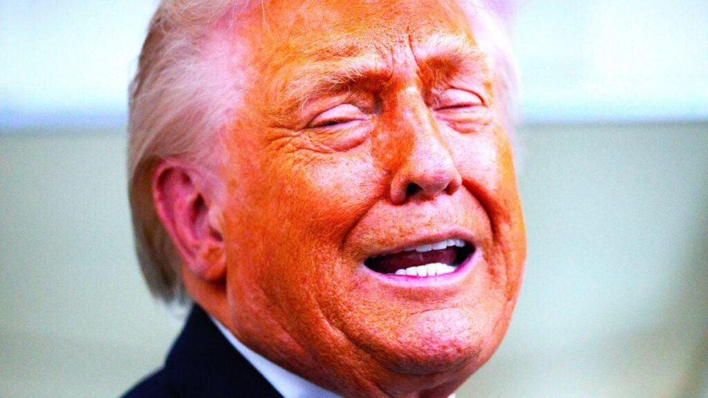 'Desecrated the memory of hundreds', Donald Trump mocks troops killed in support of America's mission