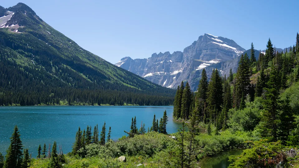 A crystal-clear lake sits beneath towering mountains and lush evergreen forest in Glacier National Park, Montana. The vibrant greenery, sharp peaks, and brilliant blue sky reflect the unspoiled wilderness of the American West.