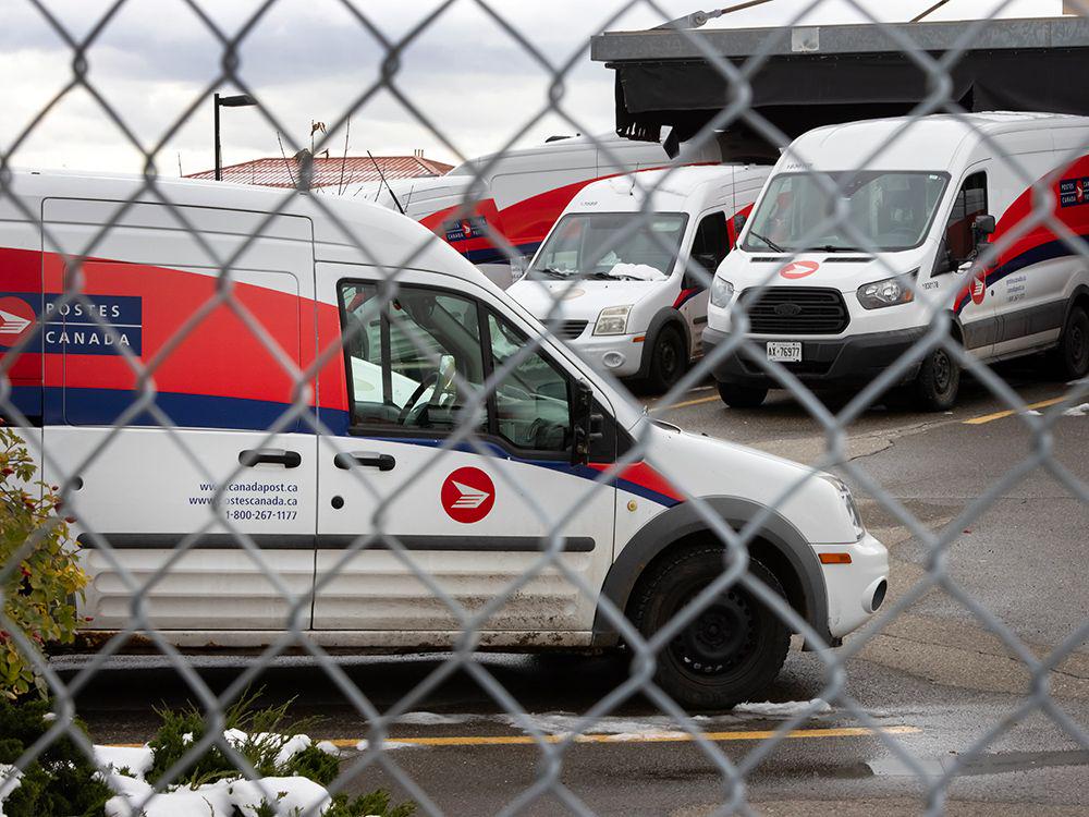 Canada Post carrier fired for hoarding 6,000 pieces of mail gets his job back