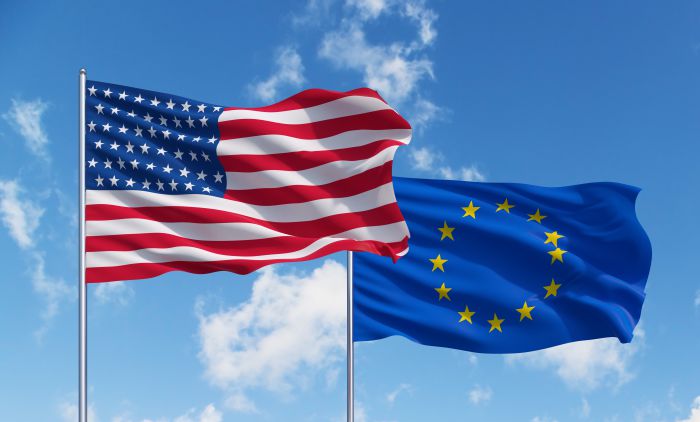 Two Views of Exclusion: Why the European Union and the United States  Diverged on Google - ProMarket