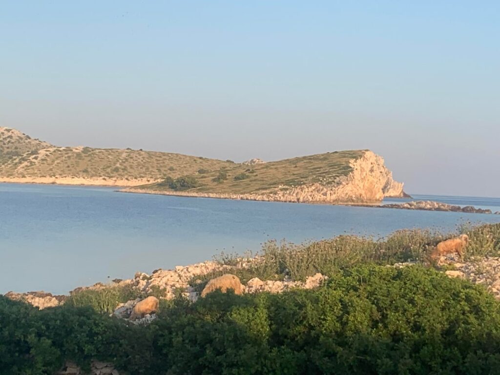 Photos from a trip last year :3