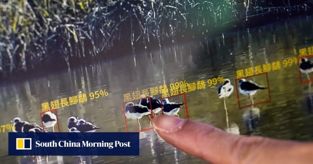 AI and laser-armed robot dogs sharpen Hong Kong’s environment impact reviews