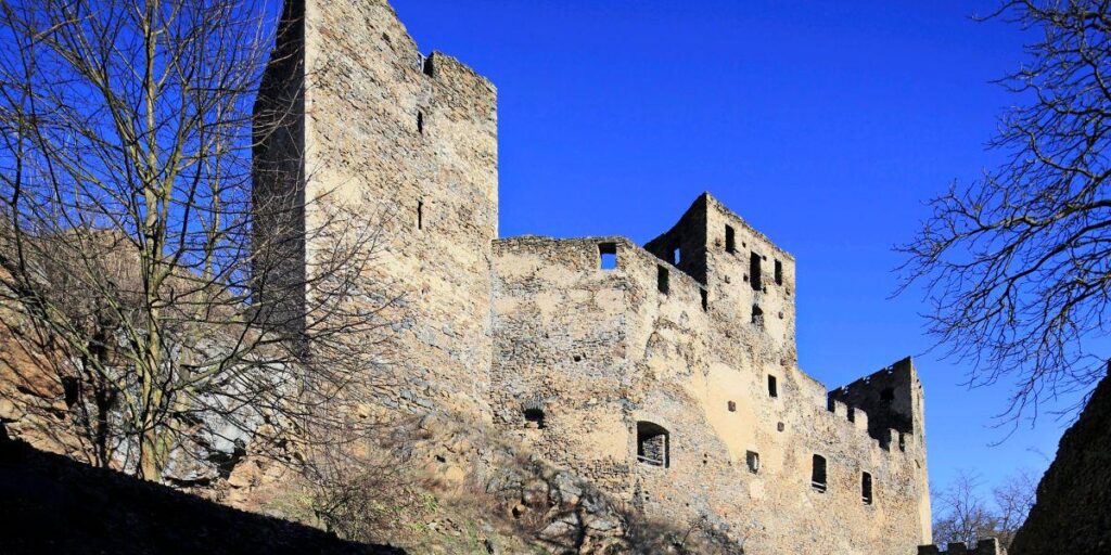 Nazi hodgepodge of 58 objects found in the house of FPÖ city councilor René Schimanek