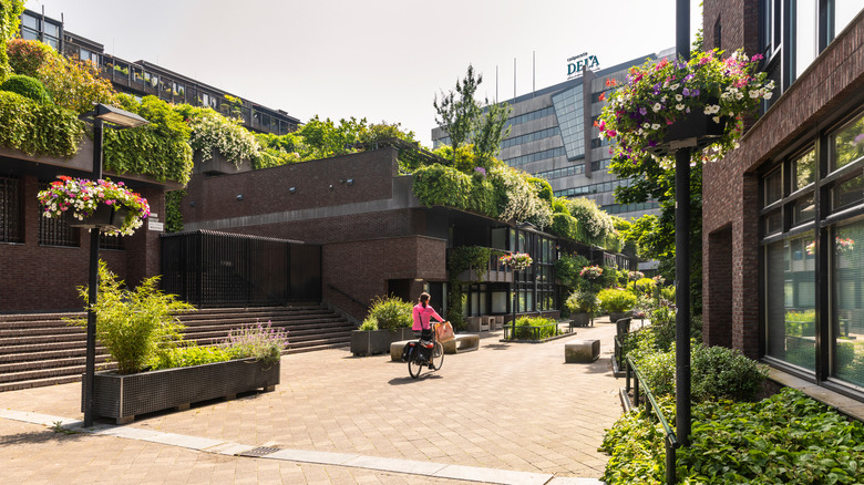 A cyclist rides through the green city center of Eindhoven