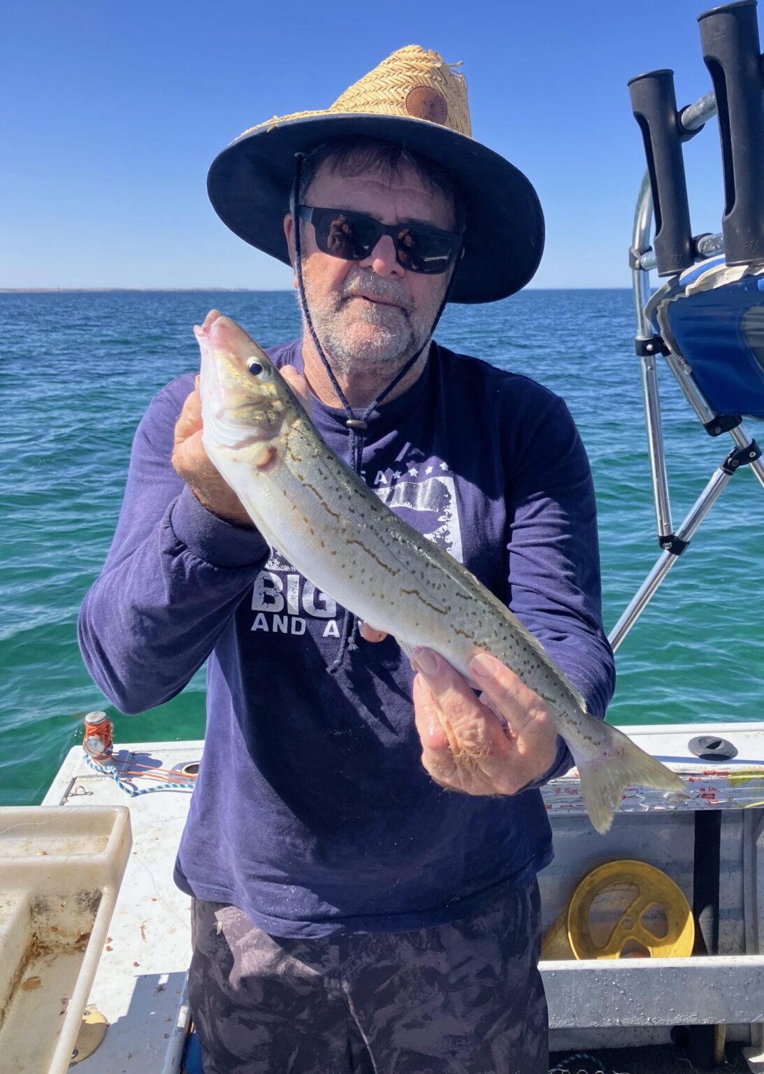 Has South Australia’s algae bloom turned the corner?