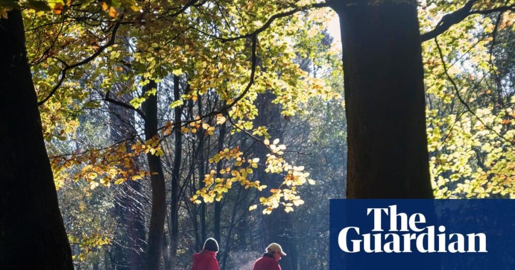 Just 5 extra minutes of exercise and half an hour less sitting time each day could help millions of people live longer, according to research highlighting the potentially huge population benefits of making even tiny lifestyle changes.