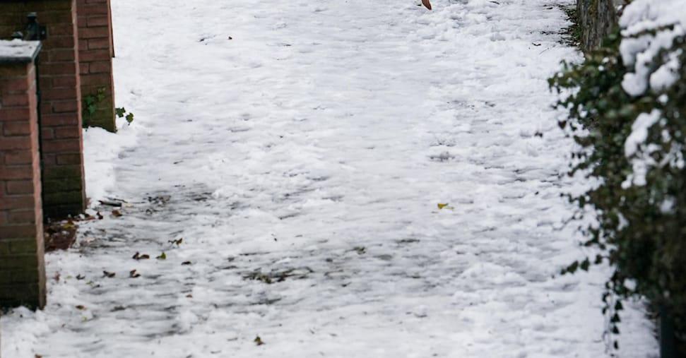 11 year old child left standing in the snow for failure to pay for the new bus ticket in Belluno. The Province will take action with refunds