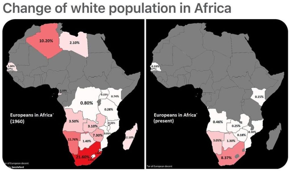 Africa's White Population 1960 vs Present