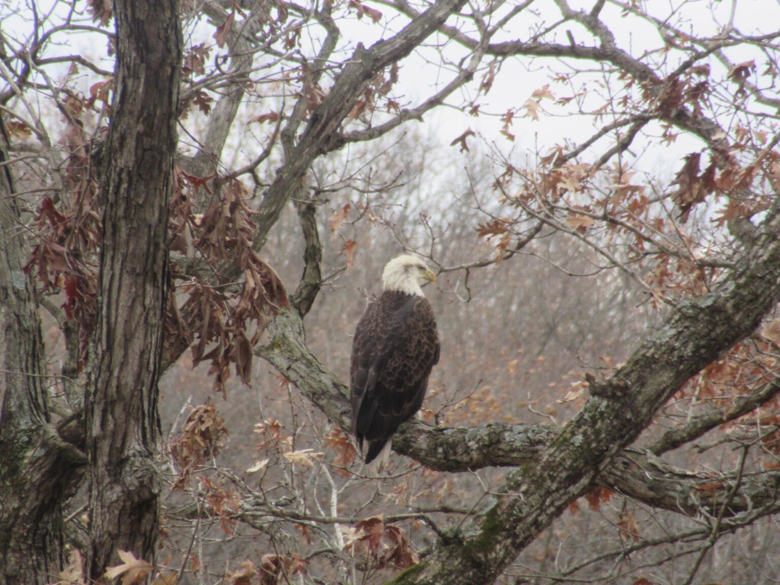Lacey State Park - Iowa
