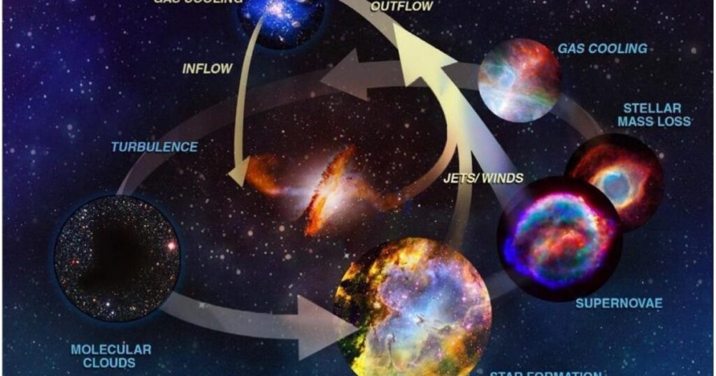 The four paths forward for US scientists in 2026 The four paths forward for US scientists in 2026