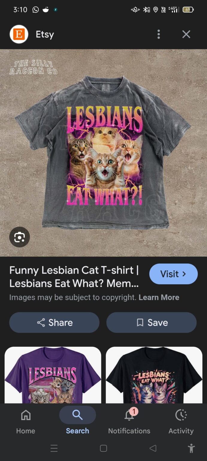 Is it illegal to wear this in a public shopping centre...