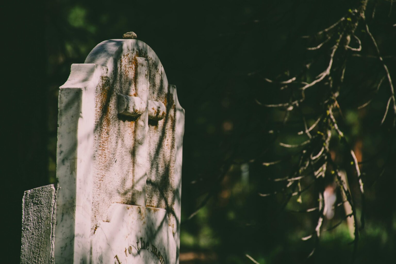 Why being buried on the family farm is so hard in New Zealand