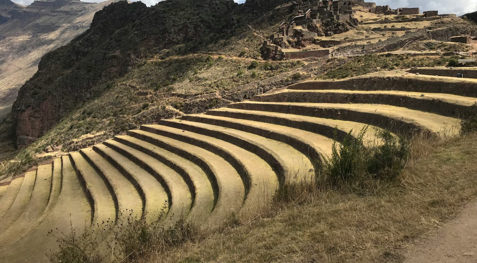 Inka’s Berries secures debt capital to finance climate-resilient blueberry farming in Peru