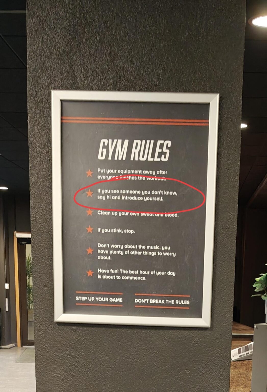 Nordic wellness, are you completely sick in the head?