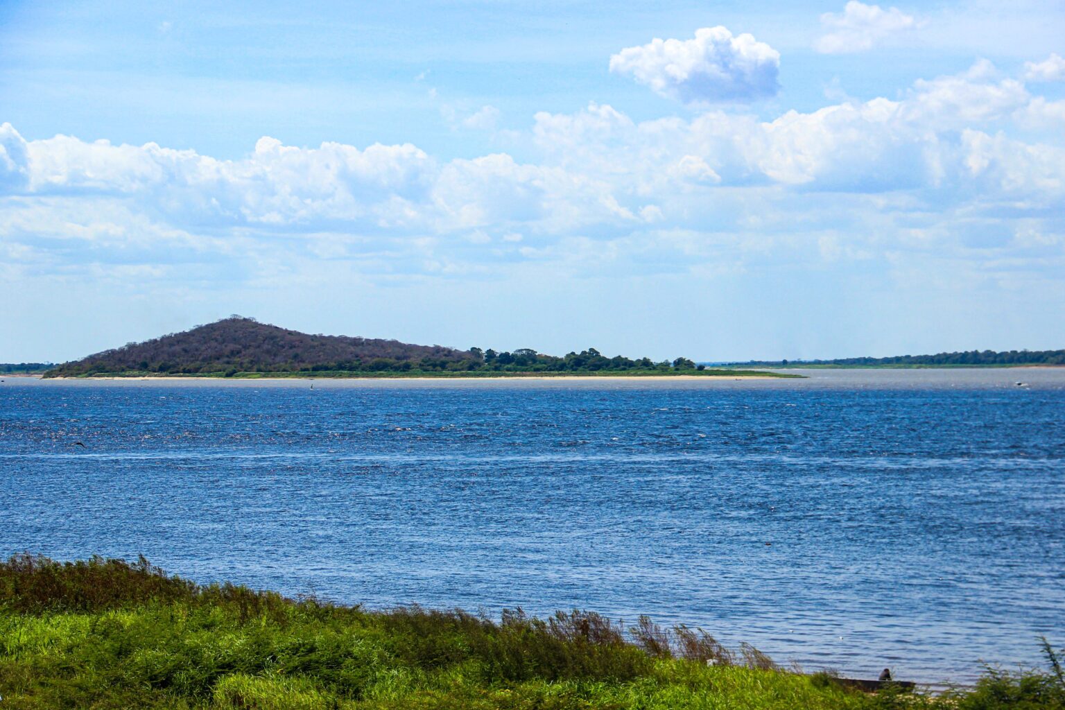 Contrasts of natural colors.