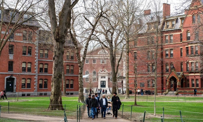 Harvard sees rise in students from China, South Korea despite visa clampdown