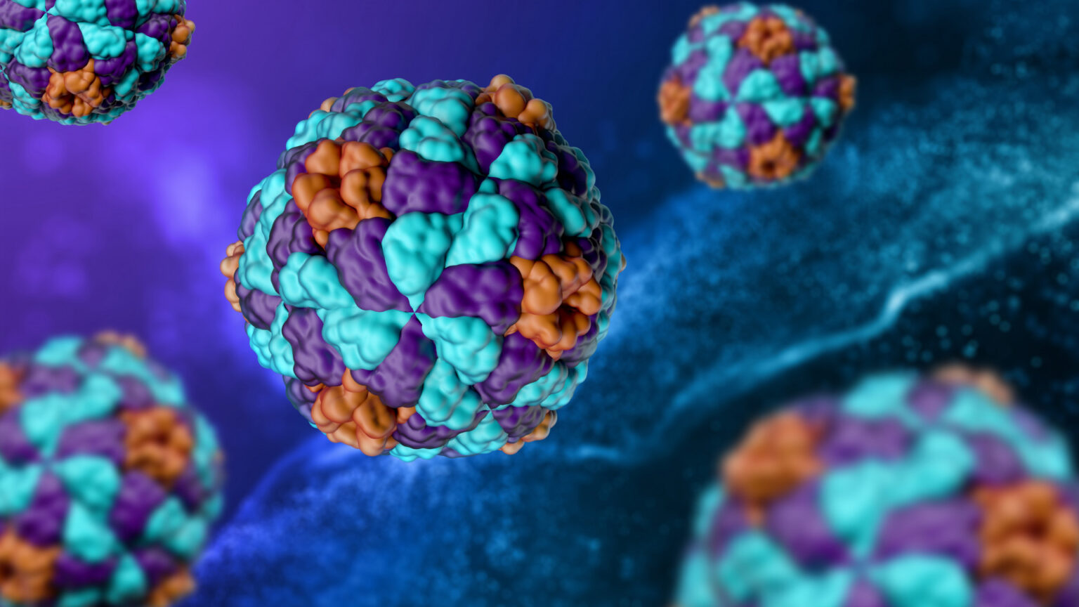 Hungary records more than 2,000 hepatitis A cases in 2025