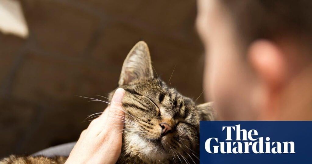 Grief over pet death can be as strong as that for family member. About a fifth of people who had experienced a pet and human loss said the former was worse. Symptoms of severe grief for a pet matched identically with that for a human, and there was no difference in how people experienced losses.