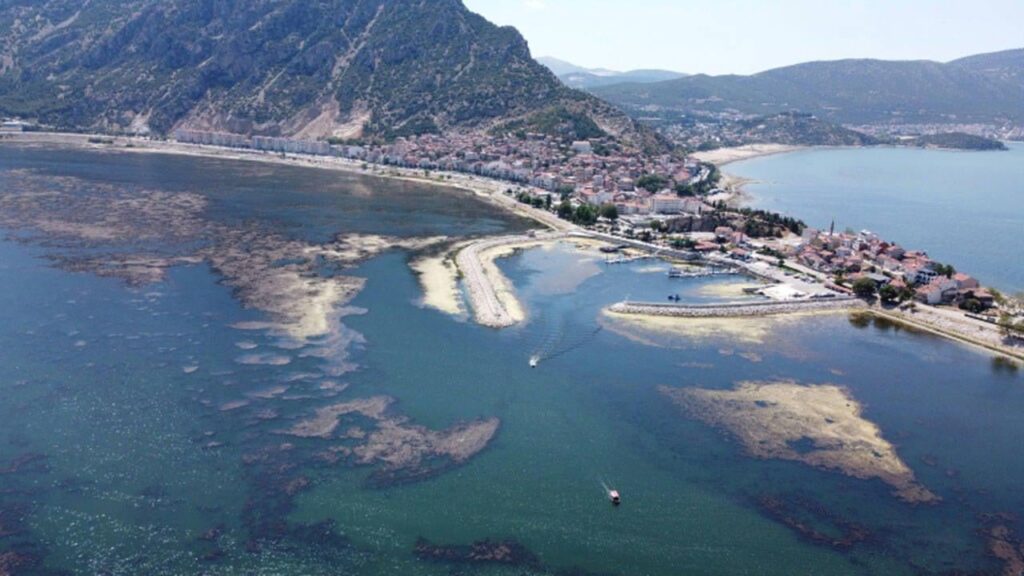 People drank their water with Coca-Cola
