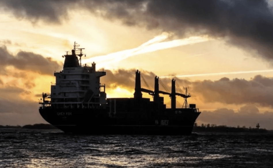 Ukraine’s intelligence names bulk carriers like San Severus among vessels used to export stolen Ukrainian grain under false flags. The EU should blacklist these ships, seize cargoes, and punish buyers.