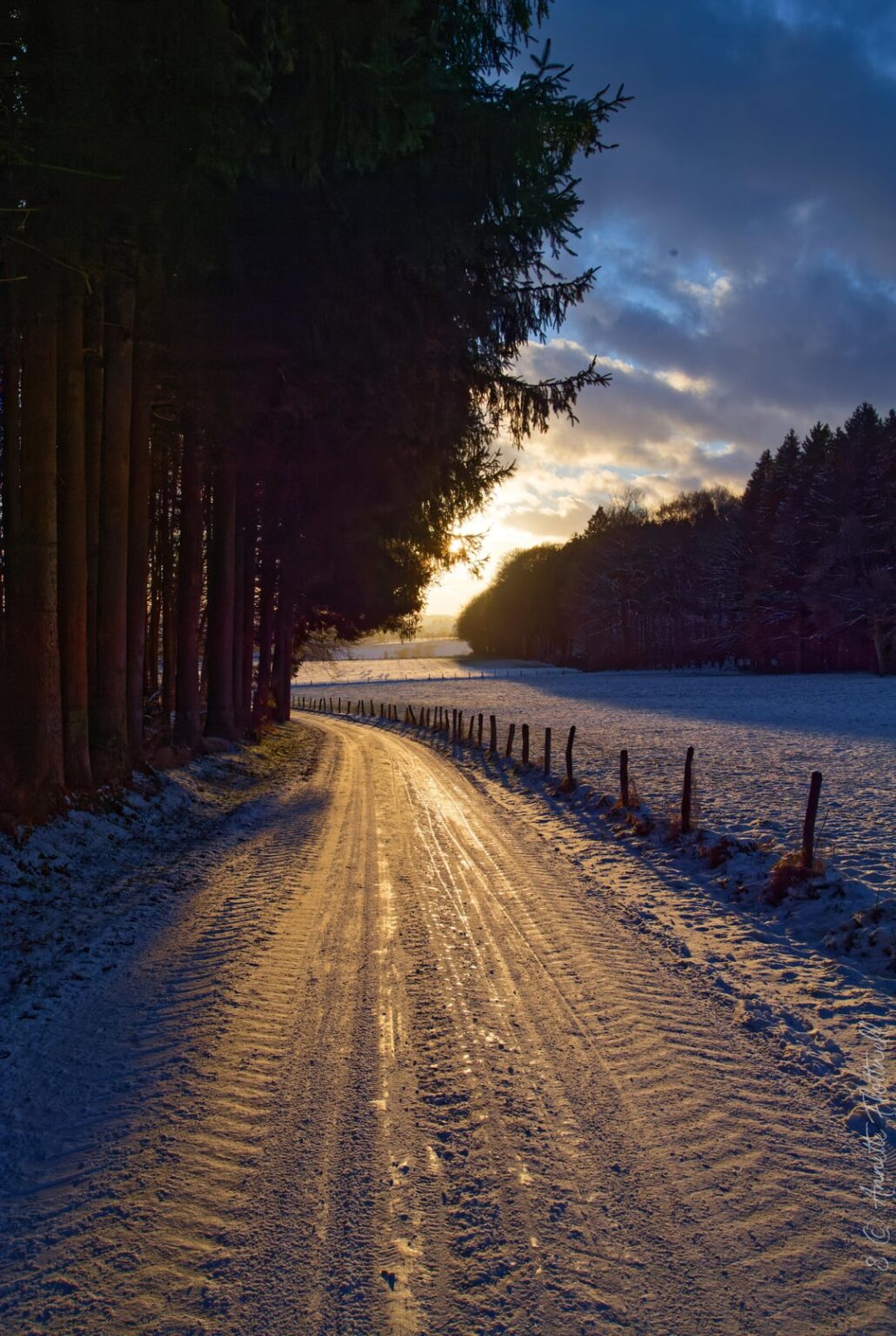 Low winter sun in the Icelek