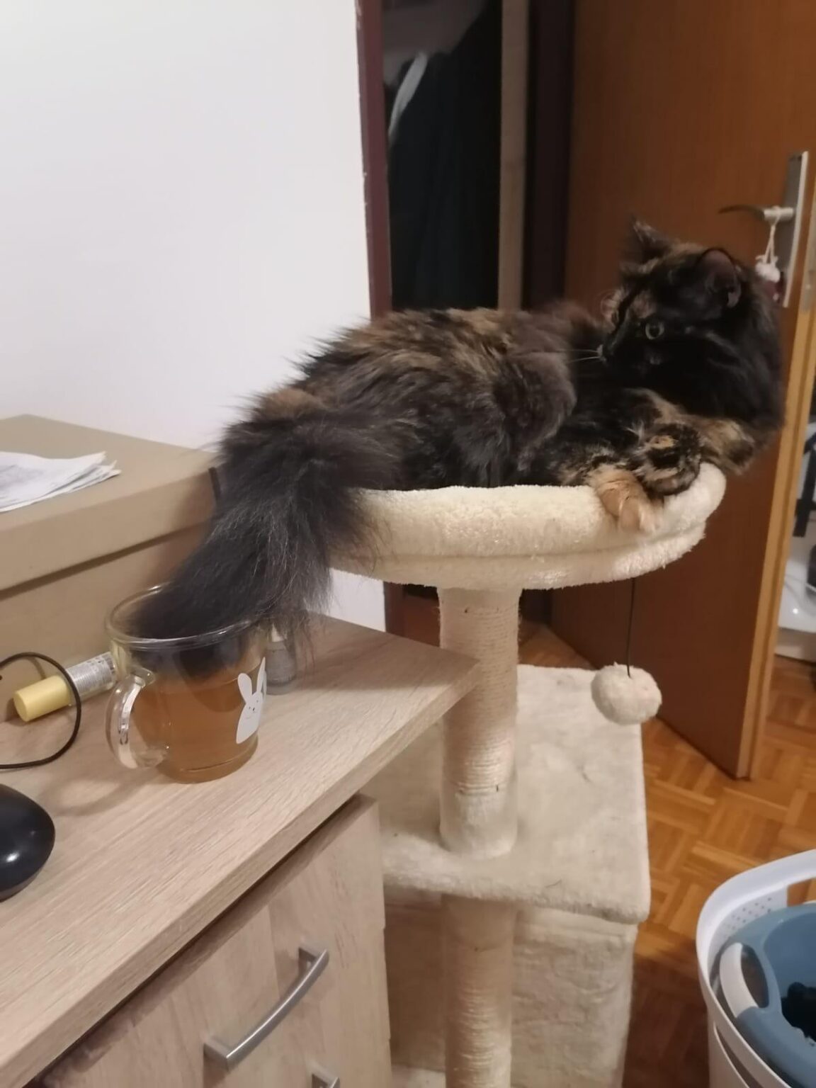 Catbot: Does he even know he's dipping his tail in my tea? 😹