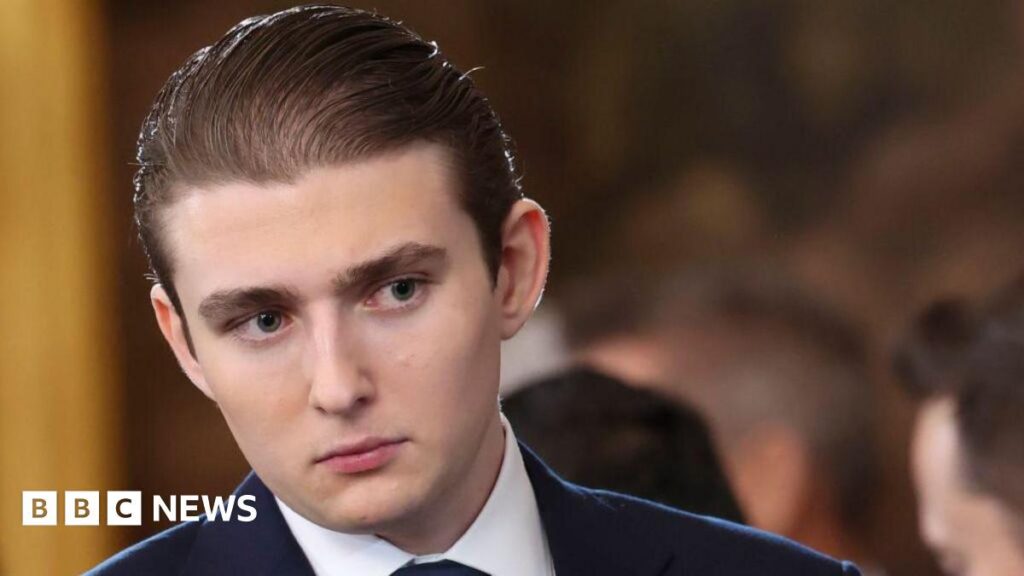 Treat Barron Trump account of alleged attack cautiously - judge