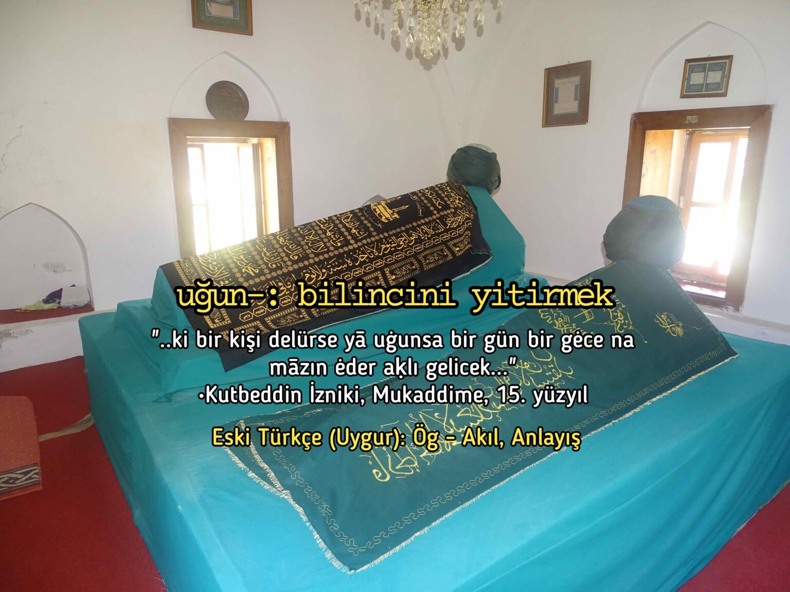 A word lost in modern Turkish; howl