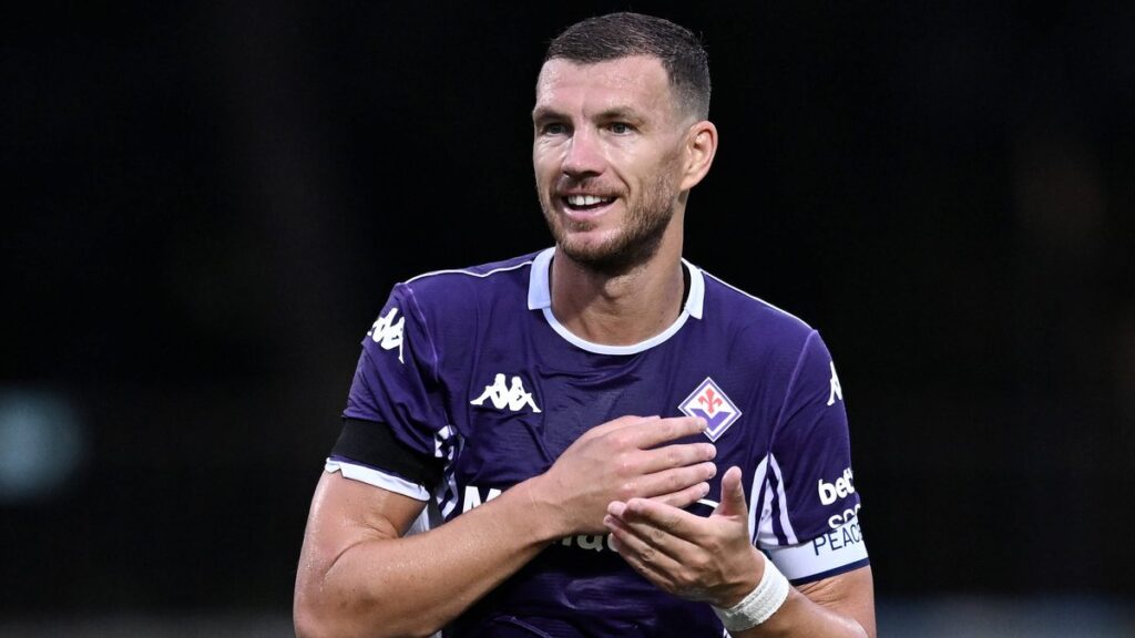 Schalke sign Bundesliga winner Edin Džeko from Fiorentina