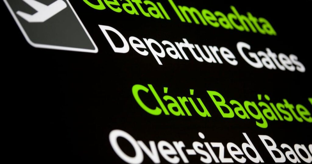 Sharp rise in number of asylum seekers voluntarily leaving Ireland in 2025