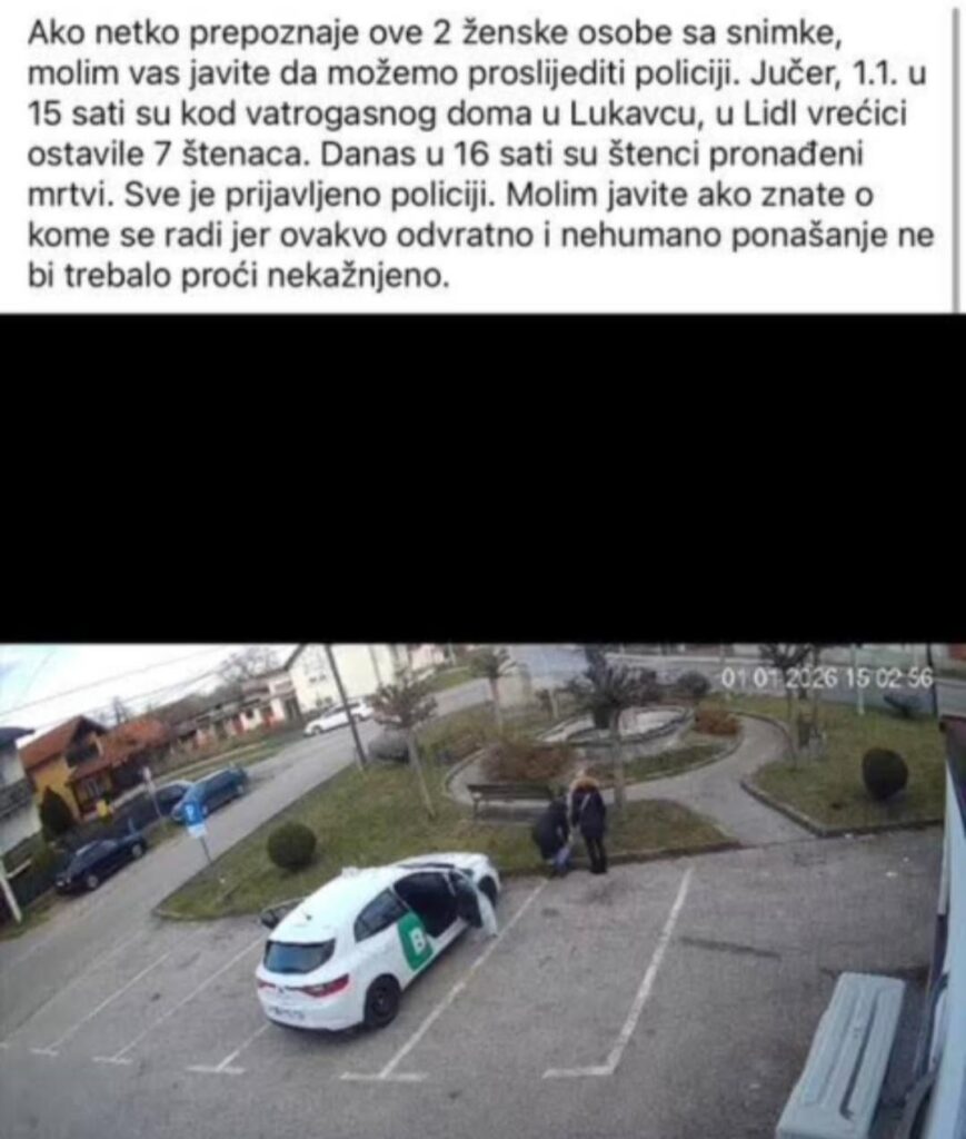 [POMOC] We are looking for information about these two people (BOLT certainly has driver records and GPS tracking) which are 1.1. at 3 p.m. left 7 puppies in a bag at the fire station in Lukavac, due to the criminal act of abandoning animals, which caused the death of the animals.