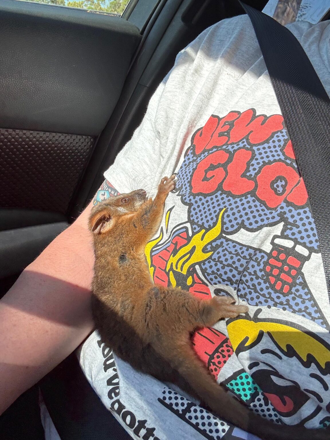 Helped out this little guy this afternoon