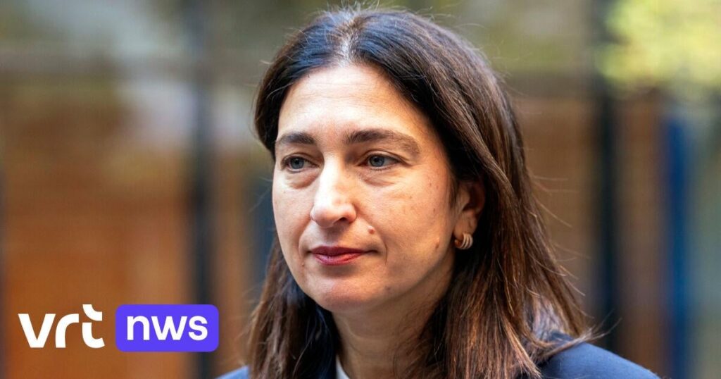 Zuhal Demir under fire: did the cabinet engage in "nepotism" when awarding a government contract? | VRT NWS: news