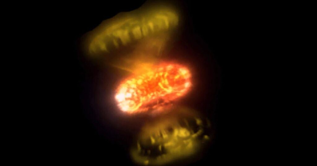 Capturing the Moment a White Dwarf Exploded