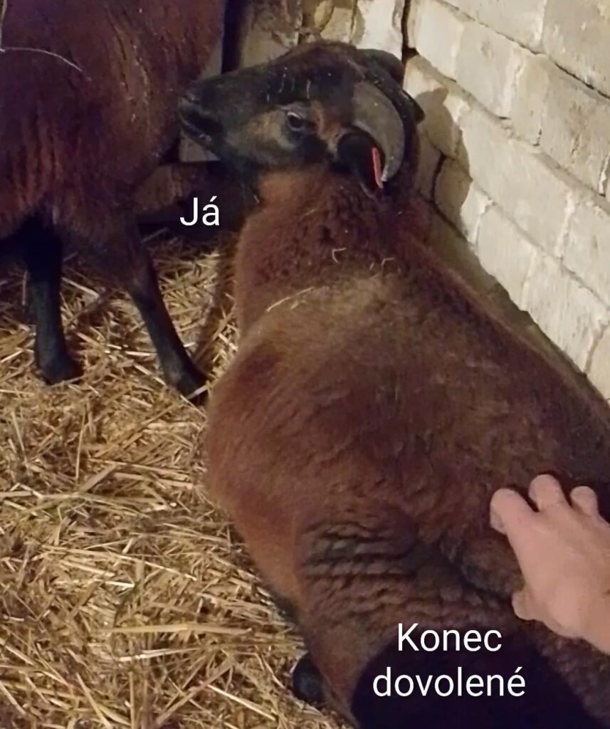 It was a beautiful 14 days, this year the holidays went well. How are you looking forward to work?