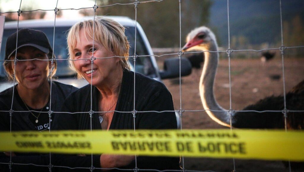 Tribunal upholds $10K fine for B.C. ostrich farm over failure to report sick birds