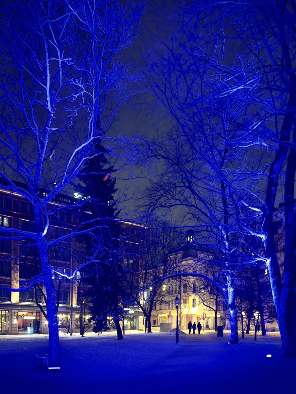 The Lux Helsinki light festival is well worth visiting!
